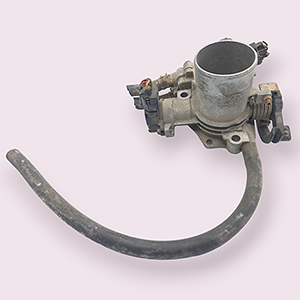 Normal Excretor 1NZ- Buterflay